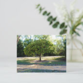 Gelbe Ziegelstraße 2 Postkarte (Stehend Vorderseite)