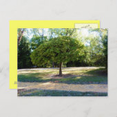 Gelbe Ziegelstraße 2 Postkarte (Vorne/Hinten)