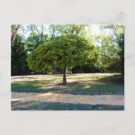 Gelbe Ziegelstraße 2 Postkarte (Vorderseite)