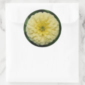 Gelbe Zinnia Blume Rundkleber Runder Aufkleber (Tasche)
