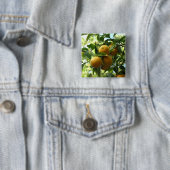 Gelbe Zitronen auf dem Baum Button (Beispiel)