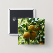 Gelbe Zitronen auf dem Baum Button (Vorne & Hinten)