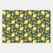 Gelbe Zitronen, grüne Blätter und weiße Blume (Vorderseite)