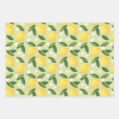 Gelbe Zitronen, grüne Blätter und weiße Blume (Vorderseite 2)