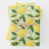 Gelbe Zitronen, grüne Blätter und weiße Blume (Beispiel)