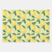 Gelbe Zitronen, grüne Blätter und weiße Blume (Vorderseite)