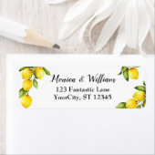 Gelbe Zitronen mit frischen Pflanzen (Insitu)