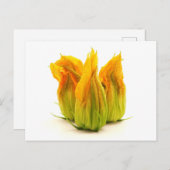 Gelbe Zucchini Blume Postkarte (Vorne/Hinten)