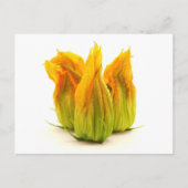 Gelbe Zucchini Blume Postkarte (Vorderseite)