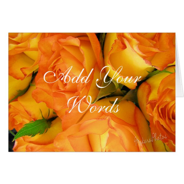 Gelbe Zweifarbige Rose-fertigen besonders an (Vorderseite (Horizontal))