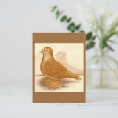 Gelbe Zwergtaube Postkarte (Stehend Vorderseite)