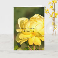 Gelben Rosen Geburtstag (Fotografie von mir)