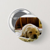 Gelber 2-Labrador-Welpe Button (Vorne & Hinten)