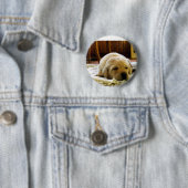 Gelber 2-Labrador-Welpe Button (Beispiel)