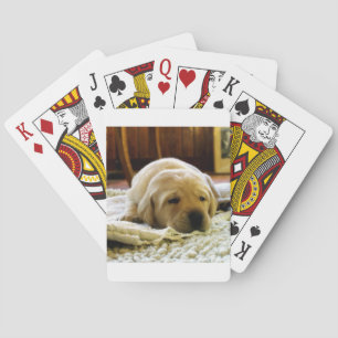 Gelber 2-Labrador-Welpe Spielkarten