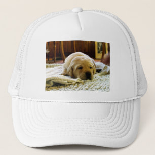 Gelber 2-Labrador-Welpe Truckerkappe