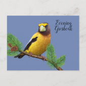 Gelber Abend Bird Grosbeak Postkarte (Vorderseite)