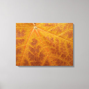Gelber Ahornblatt Herbst Abstrakt Natur Leinwanddruck