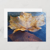 Gelber Ahornblätterblättriger Ahornblättriger, gef (Vorne/Hinten)