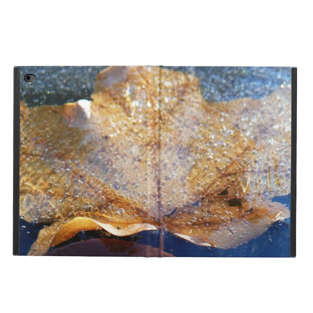 Gelber Ahornblätterblättriger Ahornblättriger, gef (Außenansicht)