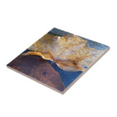 Gelber Ahornblätterblättriger Ahornblättriger, gef Fliese (Seite)