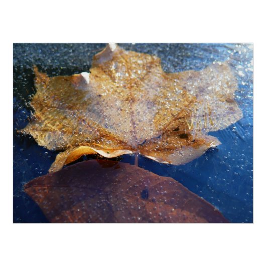 Gelber Ahornblätterblättriger Ahornblättriger, gef Poster (Vorderseite)