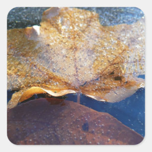 Gelber Ahornblätterblättriger Ahornblättriger, gef Quadratischer Aufkleber