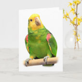 Gelber Amazon Karte (Gelbe Blume)