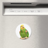 Gelber Amazon Magnet (In Situ (Geschirrspüler))