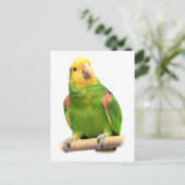 Gelber Amazon Postkarte (Stehend Vorderseite)