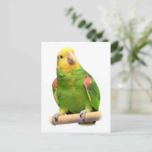 Gelber Amazon Postkarte (Stehend Vorderseite)