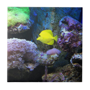 Gelber Angelfish Fliese