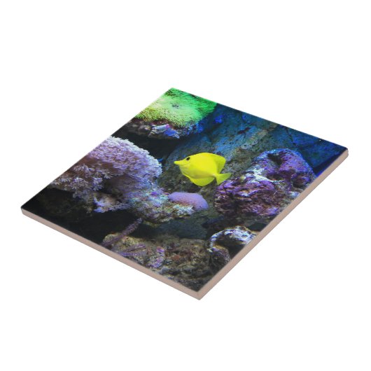 Gelber Angelfish Fliese (Seite)