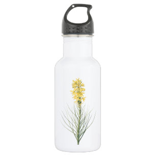 Gelber asphodel (Asphodelus luteus) von Redouté Edelstahlflasche