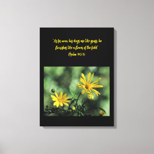 Gelber Aster Wildblumen Leinwanddruck