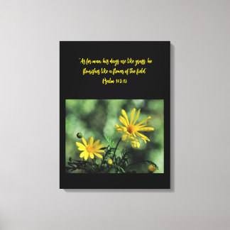 Gelber Aster Wildblumen Leinwanddruck