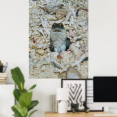 Gelber Barred Jawfish Emerging Poster (Heimbüro)