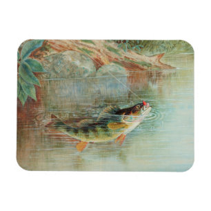 Gelber Barsch von S.A. Kilbourne, Vintage Fisch Magnet