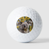 gelber, blühender Wattbaum mit Koala, Golfball (Vorderseite)