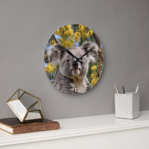 gelber, blühender Wattbaum mit Koala, Große Wanduhr