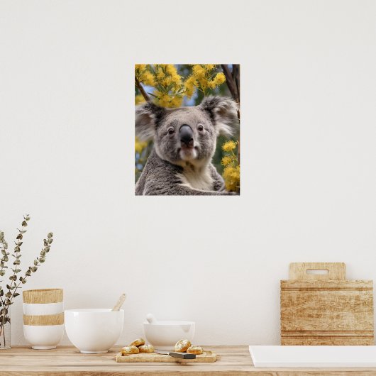gelber, blühender Wattbaum mit Koala, Poster (Küche)