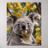 gelber, blühender Wattbaum mit Koala, Poster (Vorne)