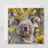 gelber, blühender Wattbaum mit Koala, Save The Date (Rückseite)