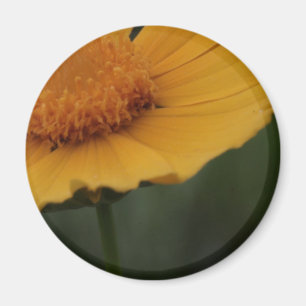 gelber Blumenmagnet Magnet