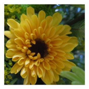Gelber Blumenposter Druck