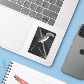 Gelber Buchenbarsch, Kalahari Aufkleber (Laptop mit iPhone)