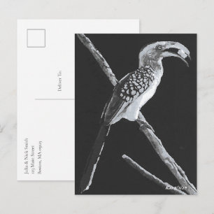 Gelber Buchenbarsch, Kalahari Postkarte