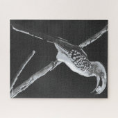 Gelber Buchenbarsch, Kalahari Puzzle (Horizontal)