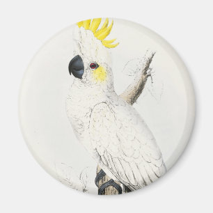 Gelber Cockatoo-Magnet mit Haube Magnet