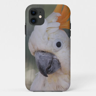 Gelber Cockatoo mit Haube (iPhone 5 Fall) iPhone 11 Hülle